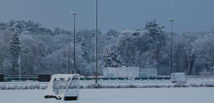 hockeysnow
